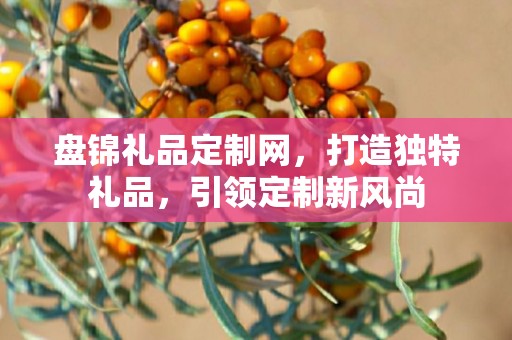 盘锦礼品定制网，打造独特礼品，引领定制新风尚